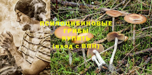 герыч Новодвинск