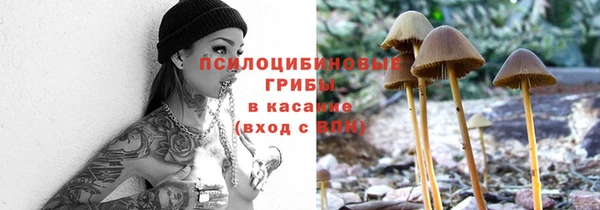 стафф Абдулино