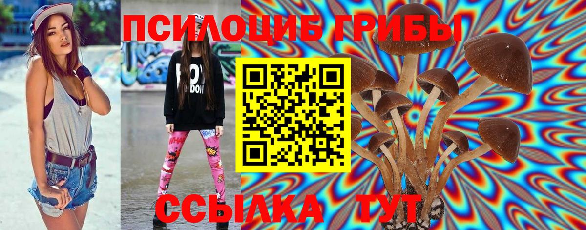 Псилоцибиновые грибы Psilocybe  Галлюциногенные грибы Psilocybine cubensis  Шумерля  Вход с VPN 